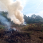 Incendi boschivi, divieto assoluto di abbruciamento di residui vegetali fino al 31 marzo